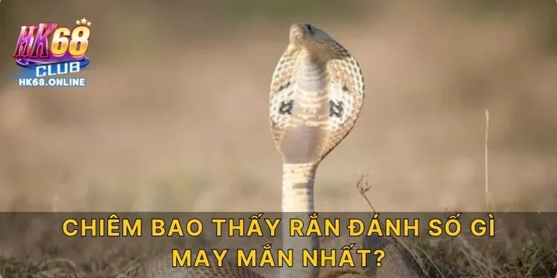 Chiêm bao thấy rắn đánh số gì may mắn nhất?