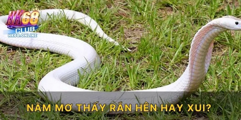 Nằm mơ thấy rắn hên hay xui?